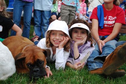 Dogs at BR