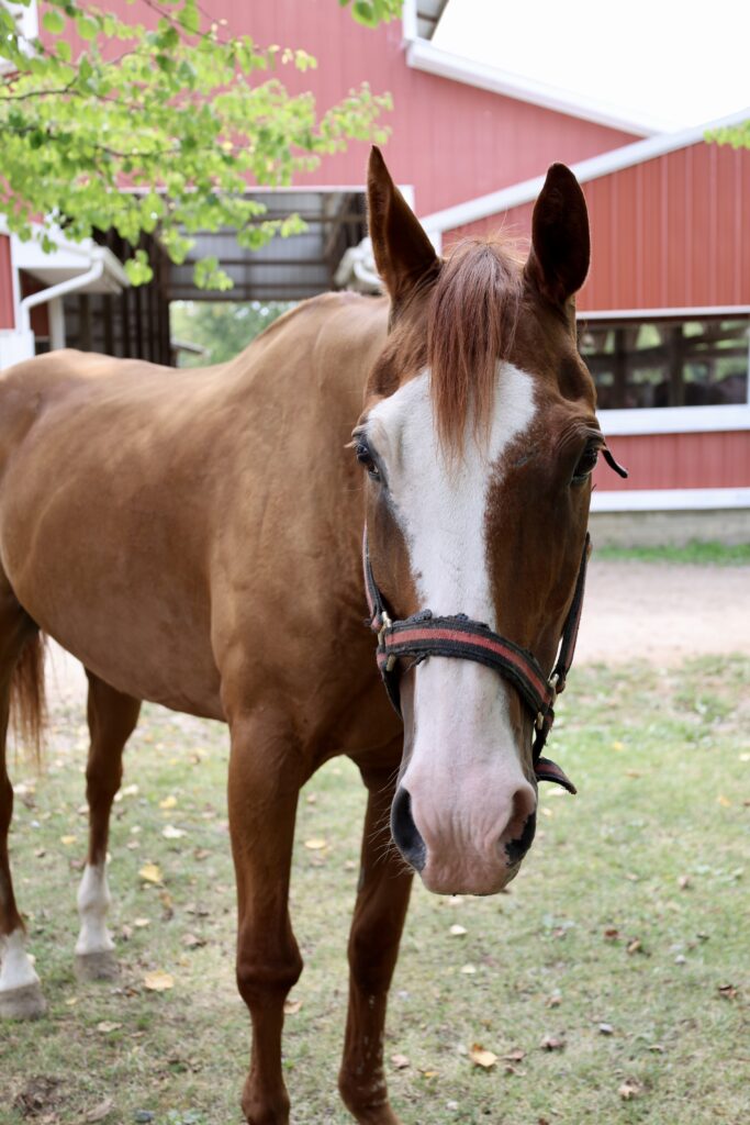 Redford